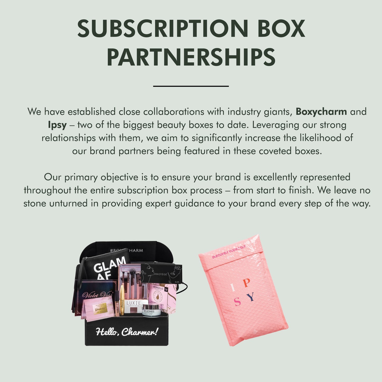 Subscription Box Partnership